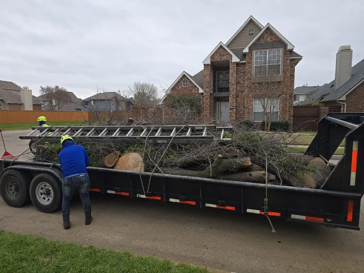 Expert Tree Pest Control with proper safety equipment in Ball Ground